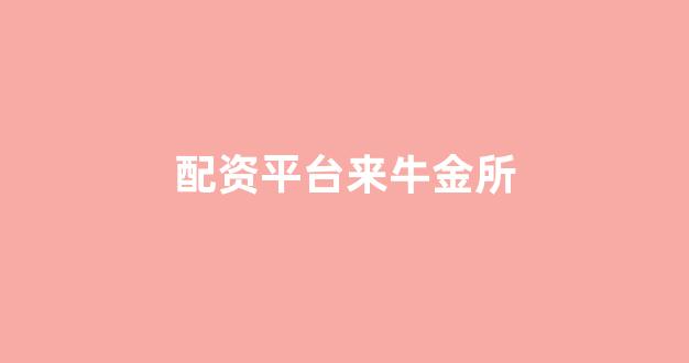 股票配资杭州雷曼期货